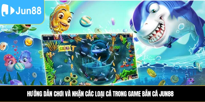 Hướng dẫn Chơi và Nhận Các Loại Cá Trong Game Bắn Cá Jun88