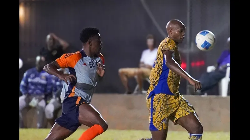 defence force vs prisin service google 9685 featured